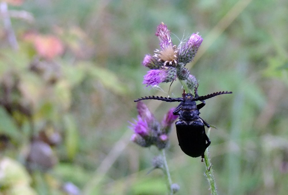 Fotka z prvního dne